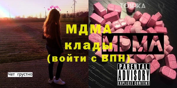 индика Алексин