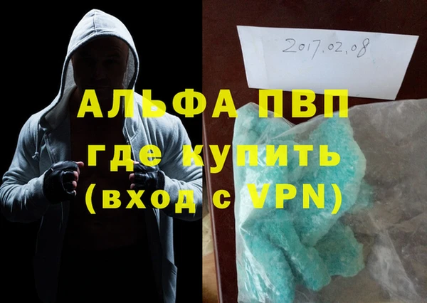 индика Алексин
