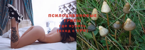 прущие крисы Алексеевка