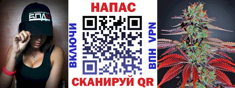 Канабис MAZAR  купить   мега как войти  Алексеевка 